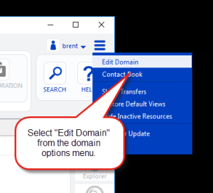 Select the Edit Domain option