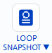 interface-loop-snapshot-icon