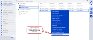 Generate the Campaign Details report from the contextual menu